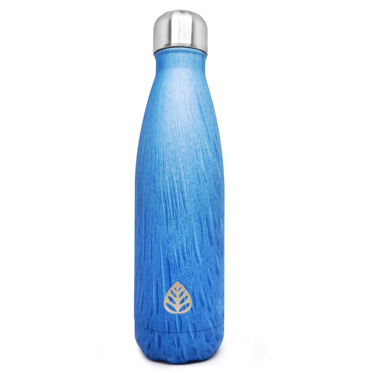 Gourde isotherme - Blue
